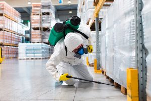 05 THUỐC DIỆT MUỖI TỐT NHẤT. THUỐC DIỆT MUỖI AN TOÀN NHẤT HIỆN NAY